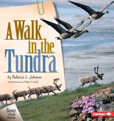 A walk in the tundra /