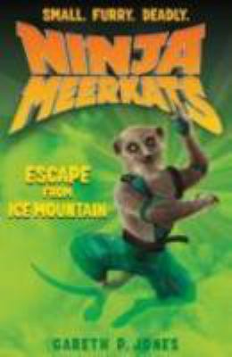 Escape from ice mountain /