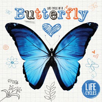 Life cycle of a butterfly /