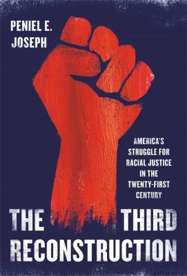 The third reconstruction : America's struggle for racial justice in the twenty-first century /