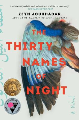The thirty names of night : a novel /