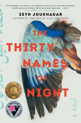 The thirty names of night [ebook] : A novel.