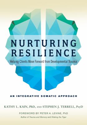 Nurturing resilience : helping clients move forward from developmental trauma /