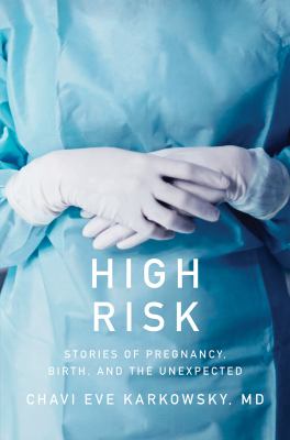 High risk : stories of pregnancy, birth, and the unexpected /