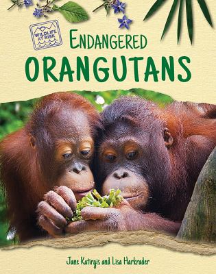 Endangered orangutans /