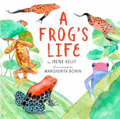 A frog's life /