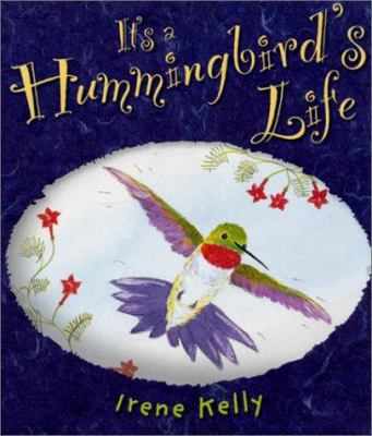 It's a hummingbird's life /