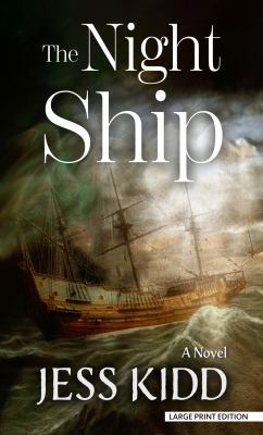 The night ship : [large type] a novel /