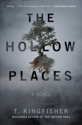 The hollow places : a novel /