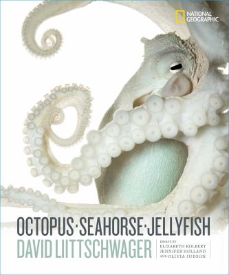 Octopus, seahorse, jellyfish /