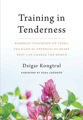 Training in tenderness : Buddhist teachings on Tsewa, the radical openness of heart that can change the world /