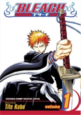 Bleach. 01, Strawberry and the soul reapers /