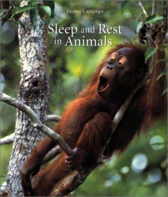 Sleep and rest in animals /