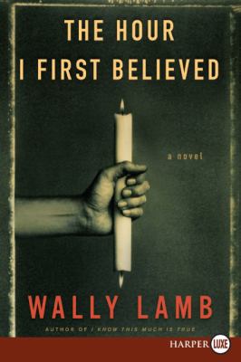 The hour I first believed : [large type] : a novel /