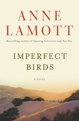 Imperfect birds : a novel /