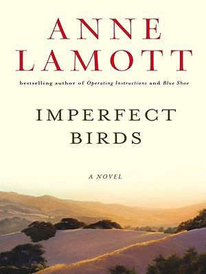 Imperfect birds [large type] /