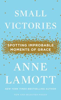 Small victories [large type] : spotting improbable moments of grace /