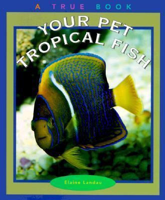 Your pet tropical fish /