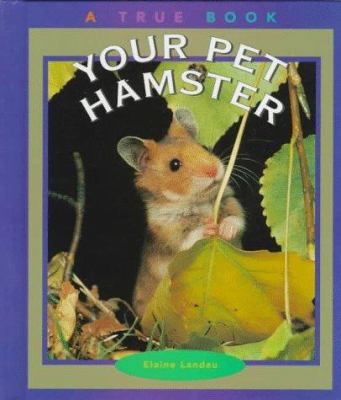 Your pet hamster /