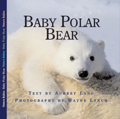Baby polar bear /
