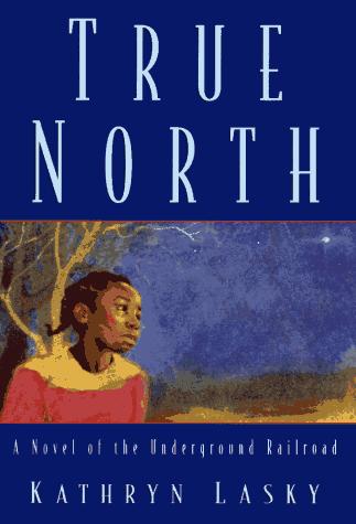 True north : a novel of the underground railroad /