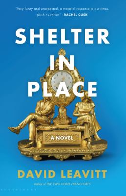 Shelter in place : a novel /