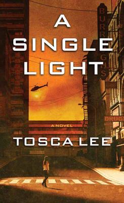 A single light : [large type] a novel /