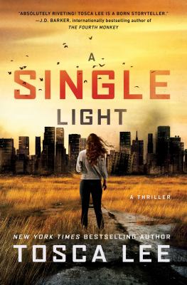 A single light : a novel /