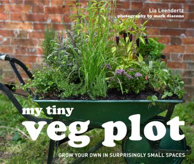 My tiny veg plot /