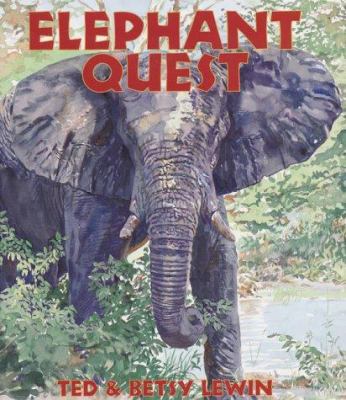 Elephant quest /