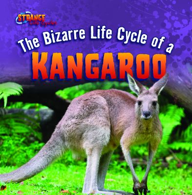 The bizarre life cycle of a kangaroo /