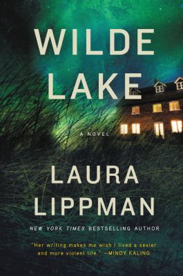 Wilde Lake : a novel /