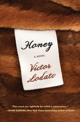 Honey : a novel /