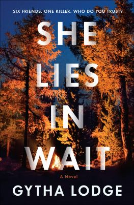 She lies in wait : a novel /