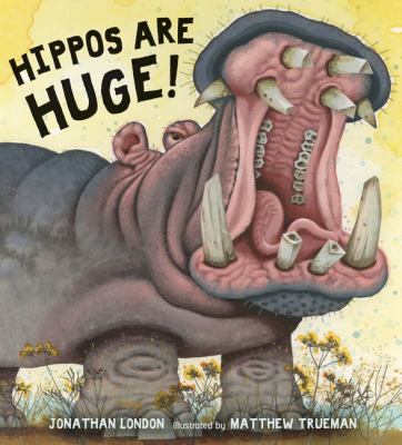 Hippos are huge! /