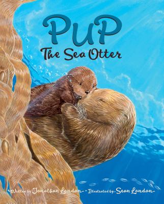 Pup the Sea Otter /
