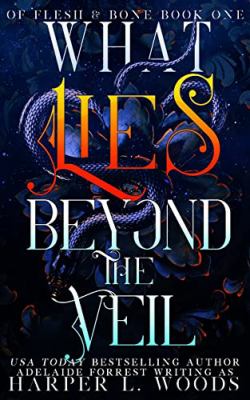 What lies beyond the veil [eaudiobook].