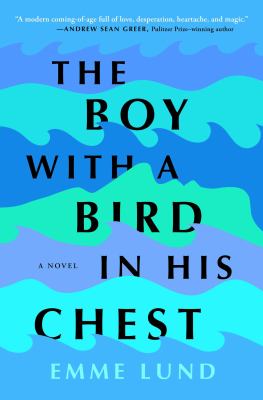 The boy with a bird in his chest : a novel /