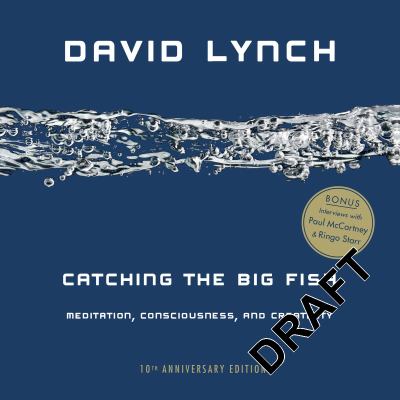 Catching the big fish : meditation, consciousness, and creativity /