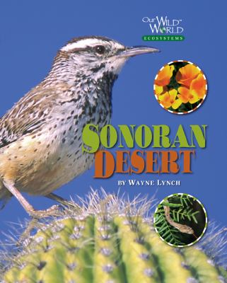 Sonoran Desert /
