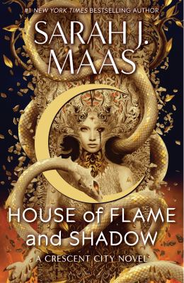 House of flame and shadow [ebook].