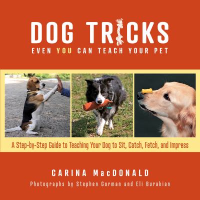 Dog tricks even you can teach your pet : a step-by-step guide to teaching your pet to sit, catch, fetch & impress /