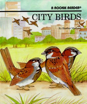 City birds /
