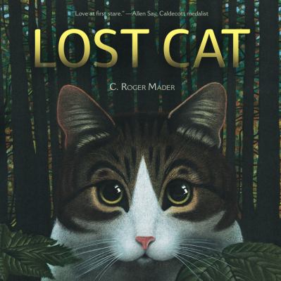 Lost cat /