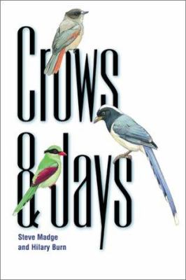 Crows and jays /