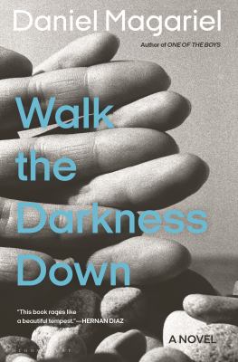 Walk the darkness down : a novel /