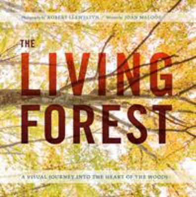 The living forest : a visual journey into the heart of the woods /