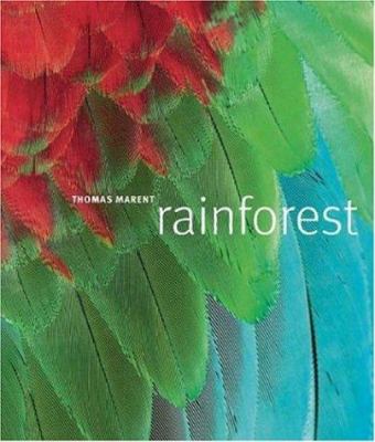 Rainforest /