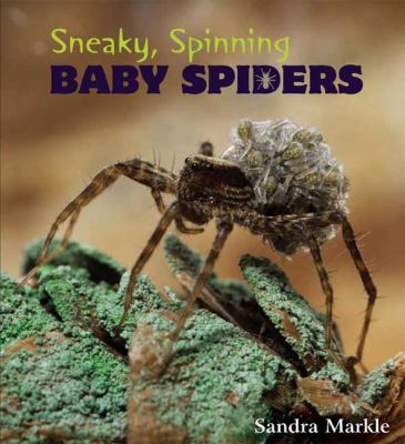 Sneaky, spinning, baby spiders /