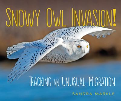Snowy owl invasion! : tracking an unusual migration /